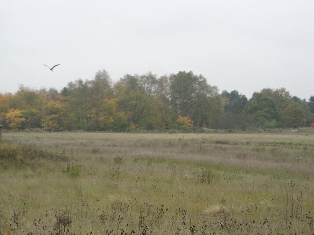 CTF Celle Strecke 116